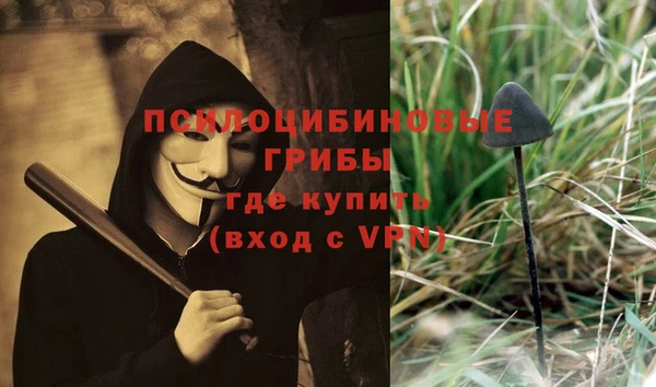 твердый Осташков