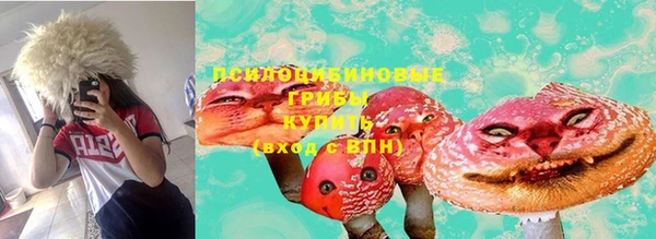 герыч Новодвинск